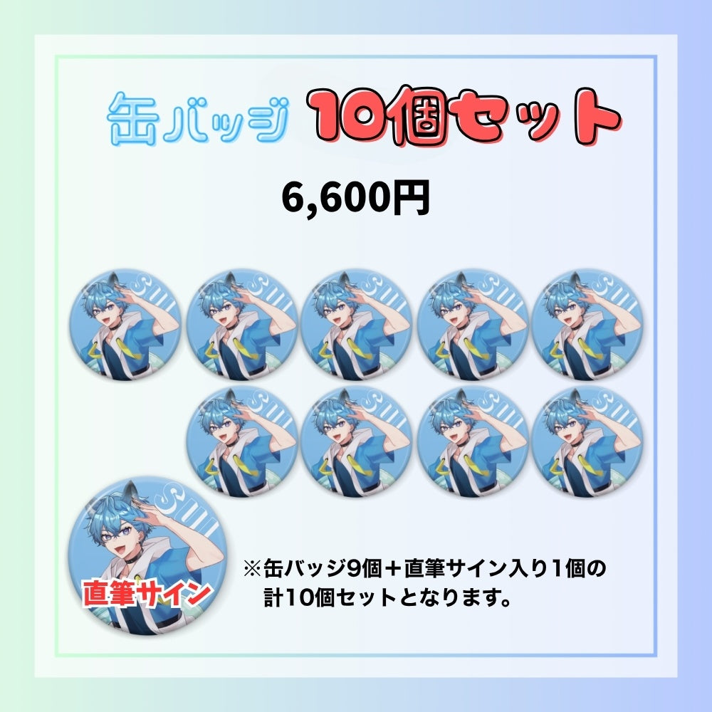 【夏休み限定】缶バッジ10個セット（すい）